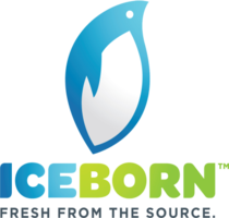 IceBorn logo